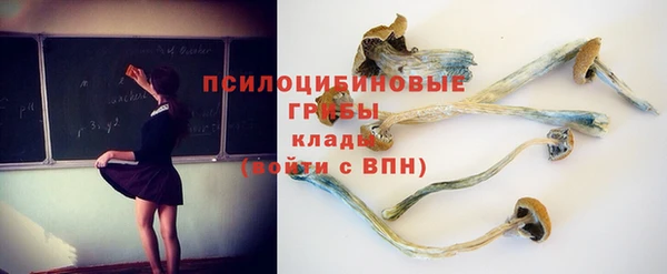 ALPHA PVP Баксан