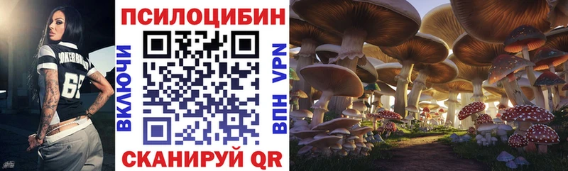 Галлюциногенные грибы Psilocybe  Семёнов 